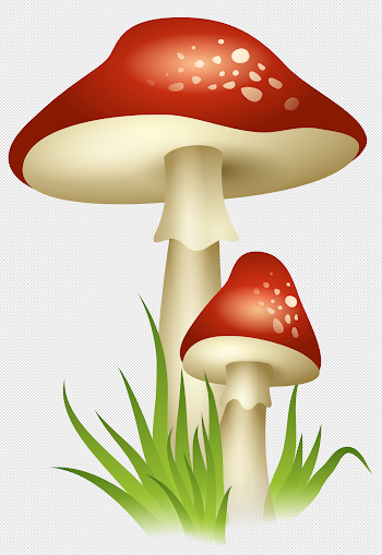Pin by D Burdick on Planners | Stuffed mushrooms, Mushroom ...