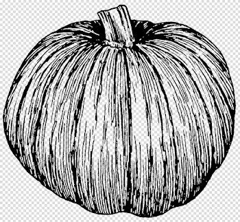 Pin by Joanne Ruderman Fennell on PEN/INK | Pinterest | Pumpkin ...