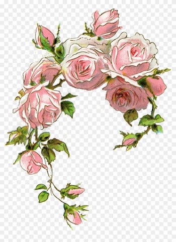Pin By Jolanta Niewiadomska On Kwiaty2 - Vintage Pink Roses