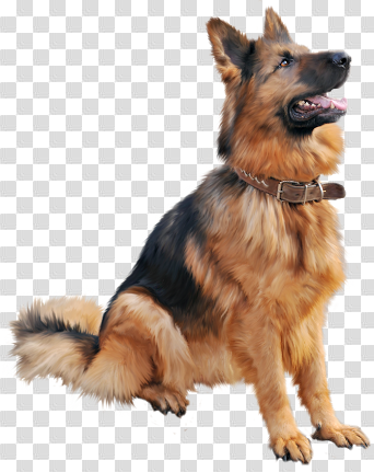 Pin by Karan on wow in 2019 | Puppy pictures, Animal cutouts, Dogs