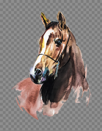 Pin by pngsector on Horse PNG & Horse Clipart Transparet in 2019 ...