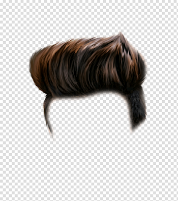 Pin by Rajesh Kumar on Rajesh in 2019 | Hair png, Picsart png, Hair