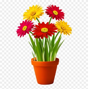Pin By Sandy Coffman On Everything For A Garden - Flowers In A Flower Pot