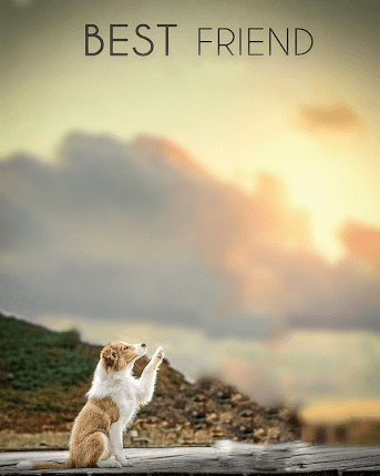 Pin by Vishnu Sahani on Download | Hd background download ...