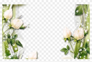 Pin By Yvonne Jeanson On Clipart Borders Pinterest - White Rose Border Png
