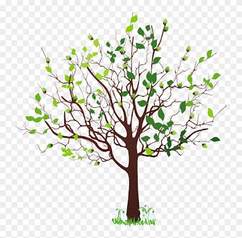 Pin Free Family Tree Clipart - Tree Clip Art Png