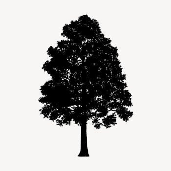 Pin Oak tree silhouette collage | Free PSD - rawpixel