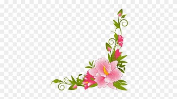 Pin Orchid Clipart Border - Flower Page Border Designs