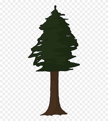 Pin Redwood Tree Clip Art - Redwood Tree Clip Art