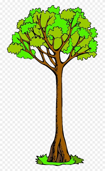 Pin Tree Clipart - Tall Tree Clip Art