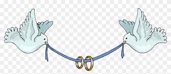 Pin Wedding Birds Clipart - Wedding Rings And Birds