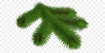 Pine Branch Clip art - Transparent Pine Branch 3D Clipart 