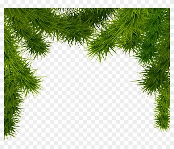 Pine Branches Png Clipart Image - Christmas Tree Branches Transparent