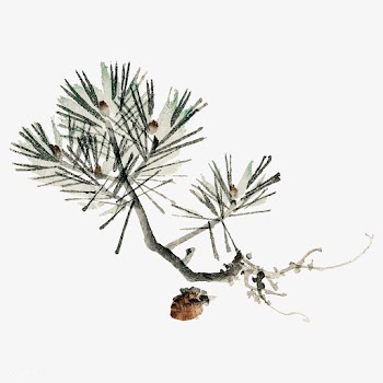 Pine by Kōno Bairei (1844-1895). Digitally e.. | Free stock vector - 467110