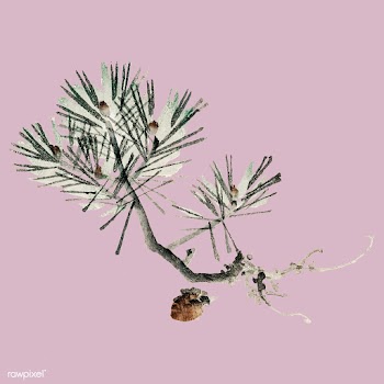 Pine by Kōno Bairei (1844-1895). Digitally e.. | Free stock vector - 467116