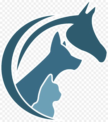 Pine City Veterinary Clinic LLC Dog Veterinarian Physician - Dog 