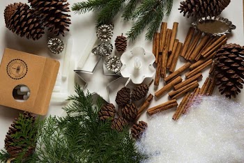 pine cone and cinnamon stick lot