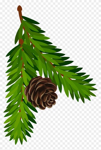 Pine Cone Branch Clip Art Pine Tree Branch Clipart - Pine Branch Clipart