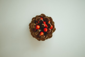 Pine Cone Decor
