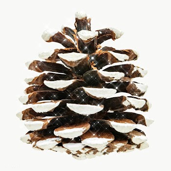 Pine cone glitter sticker overlay | Free  transparent png - 2354874