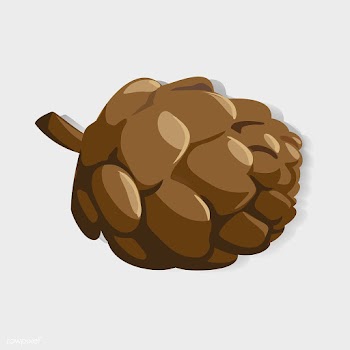 Pine Cone Graphic Illustration Vector | Free stock vector - 390579