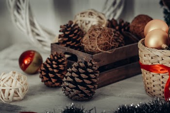 Pine Cones In Crate