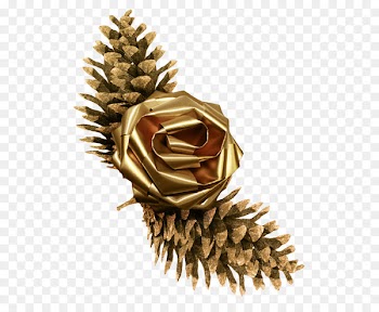 Pine Conifer cone Flower - Brown pine cone flowers 