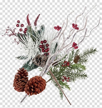 Pine Conifer cone Spruce Christmas ornament Fir, design transparent background PNG clipart
