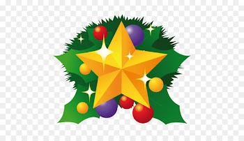 pine family christmas ornament leaf symmetry tree - Christmas star 