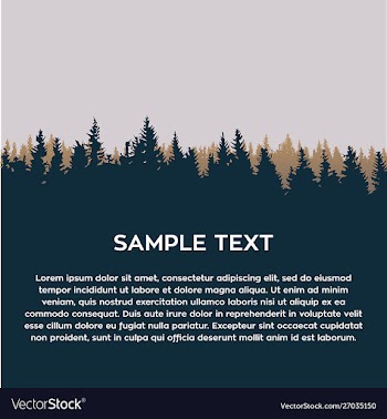 Pine forest background vector image