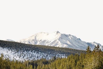 Pine forest border, winter landscape | Free PSD - rawpixel