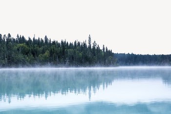 Pine forest lake border, foggy | Free PSD - rawpixel