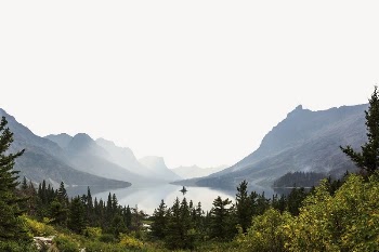 Pine forest lake border, side | Free PSD - rawpixel