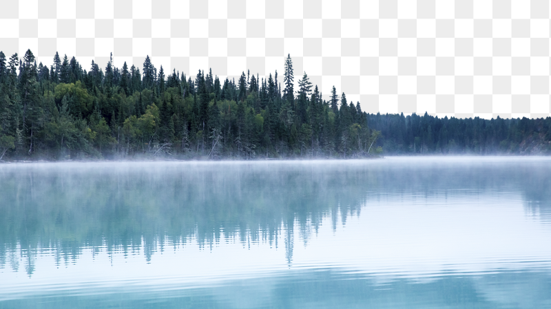 Pine forest lake png border, | Free PNG - rawpixel