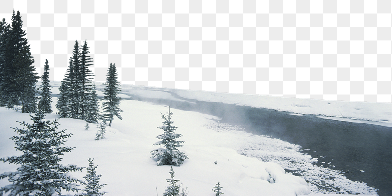 Pine forest png lake border, | Free PNG - rawpixel
