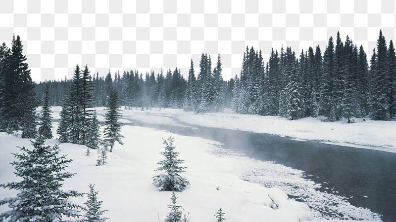 Pine forest png lake border, | Free PNG - rawpixel