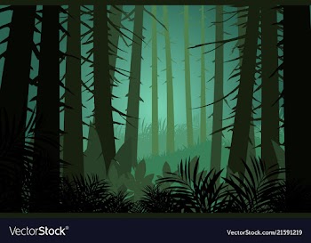 Pine forest vector image