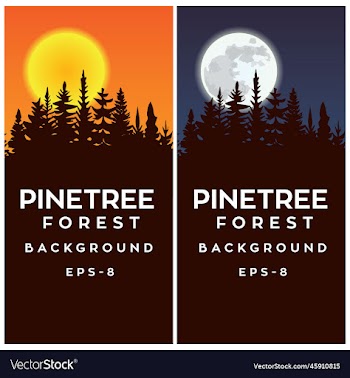 pine forest with sunset and moon