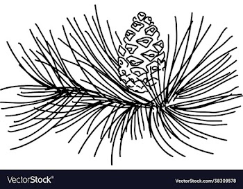 pine leaf in doodle style