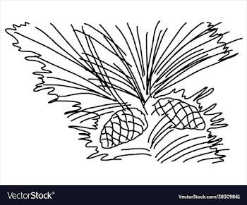 pine leaf in doodle style