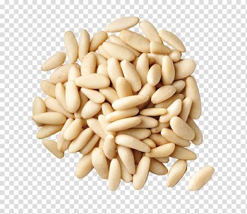 Pine nut Chilgoza Pine Food Korean Pine, dry fruit transparent background PNG clipart
