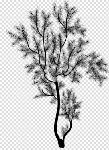 Pine Silhouettes, black and white abstract painting transparent background PNG clipart