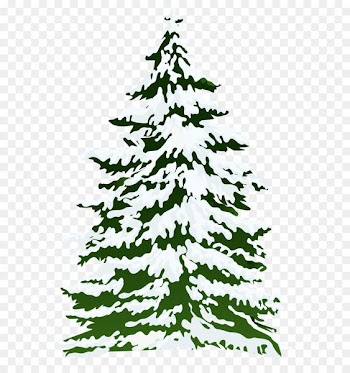 Pine Snow Tree Clip art - Winter Snowy Pine Tree PNG Clipart Image 