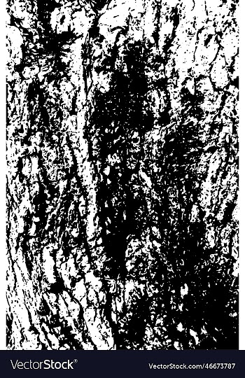 pine tree bark texture