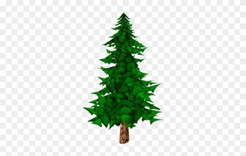 Pine Tree Cartoon - Pine Tree Model Toon