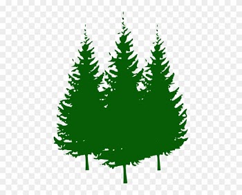Pine Tree Clip Art 473543 - Clip Art Pine Trees