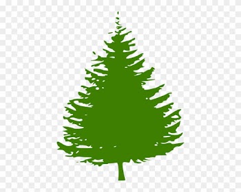 Pine Tree Clip Art At - Redwood Tree Clip Art