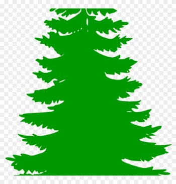 Pine Tree Clip Art Pine Tree Clip Art At Clker Vector - Pine Tree Clip Art