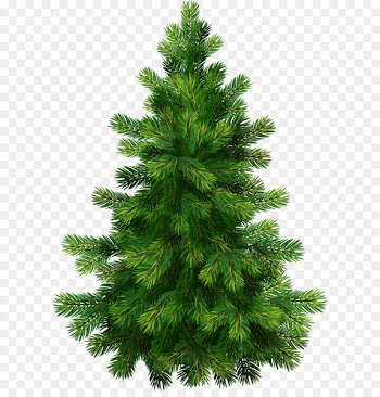 Pine Tree Clip art - Transparent Pine Tree PNG Clipart 