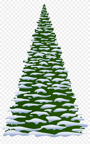 Pine Tree Clip Art Wedding Clipart - Winter Trees Transparent Clipart